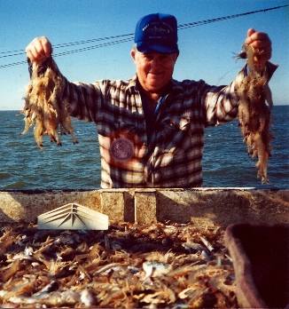 Bobby_Shrimpin